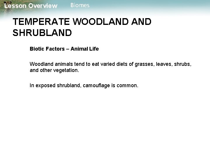 Lesson Overview Biomes TEMPERATE WOODLAND SHRUBLAND Biotic Factors – Animal Life Woodland animals tend