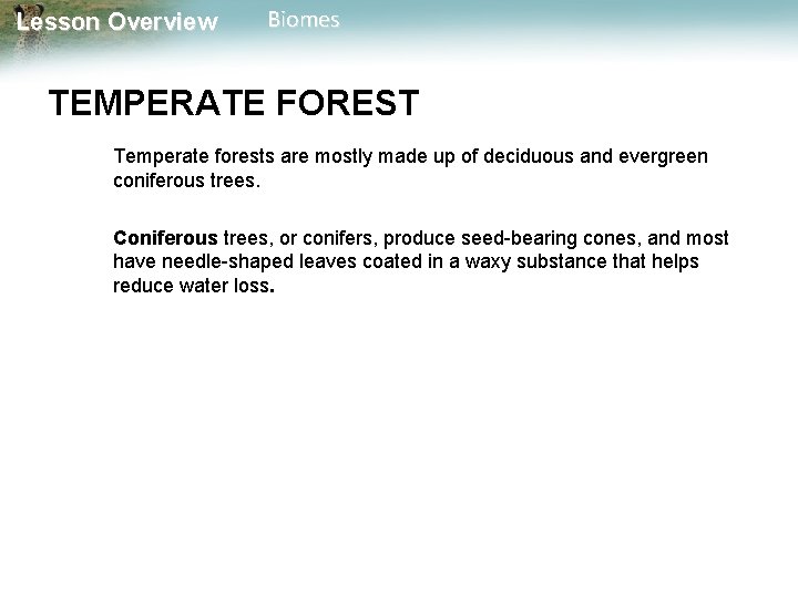 Lesson Overview Biomes TEMPERATE FOREST Temperate forests are mostly made up of deciduous and