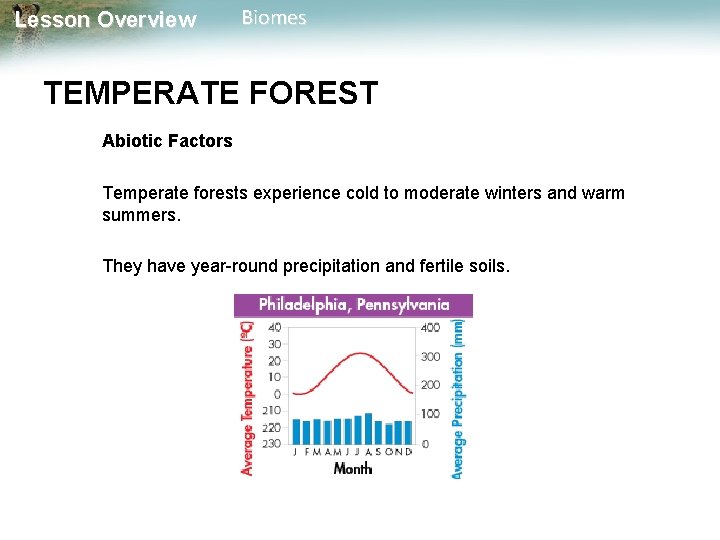 Lesson Overview Biomes TEMPERATE FOREST Abiotic Factors Temperate forests experience cold to moderate winters