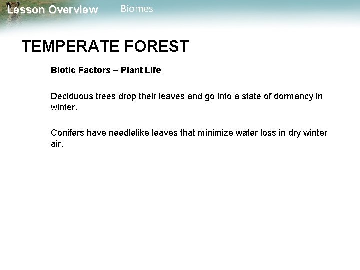Lesson Overview Biomes TEMPERATE FOREST Biotic Factors – Plant Life Deciduous trees drop their