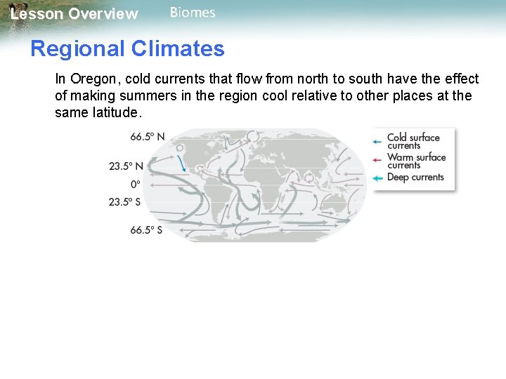 Lesson Overview Biomes Regional Climates In Oregon, cold currents that flow from north to