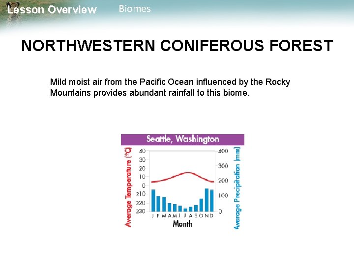 Lesson Overview Biomes NORTHWESTERN CONIFEROUS FOREST Mild moist air from the Pacific Ocean influenced