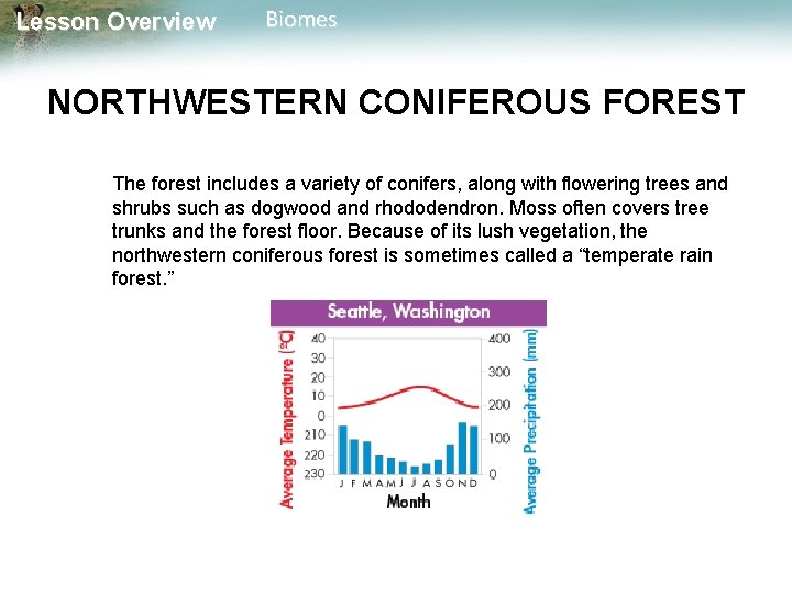 Lesson Overview Biomes NORTHWESTERN CONIFEROUS FOREST The forest includes a variety of conifers, along