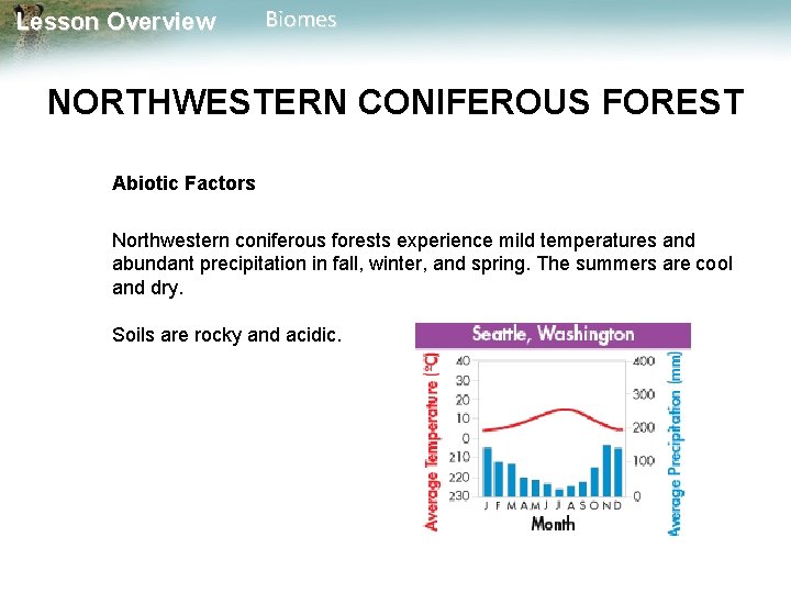 Lesson Overview Biomes NORTHWESTERN CONIFEROUS FOREST Abiotic Factors Northwestern coniferous forests experience mild temperatures