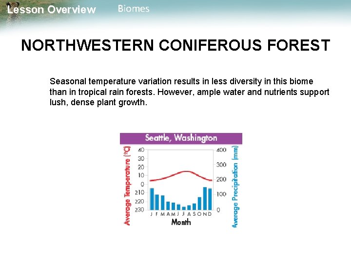 Lesson Overview Biomes NORTHWESTERN CONIFEROUS FOREST Seasonal temperature variation results in less diversity in