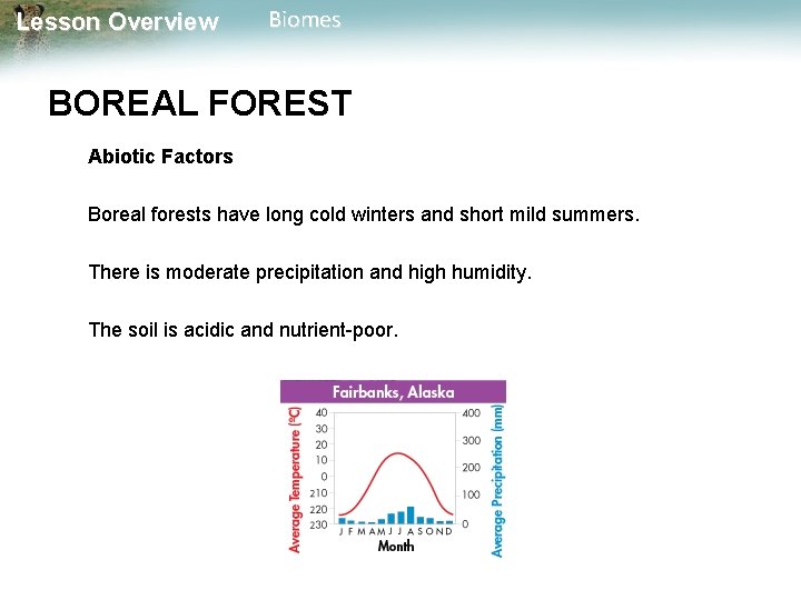 Lesson Overview Biomes BOREAL FOREST Abiotic Factors Boreal forests have long cold winters and