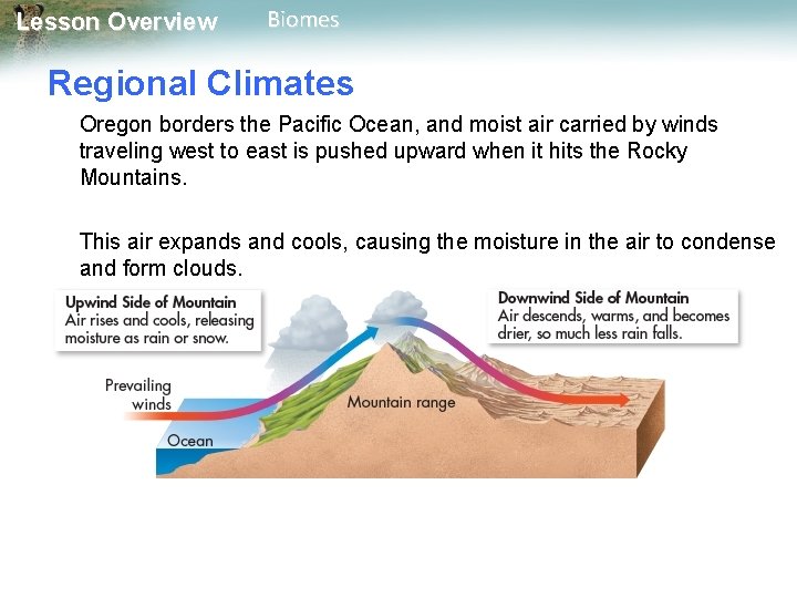 Lesson Overview Biomes Regional Climates Oregon borders the Pacific Ocean, and moist air carried