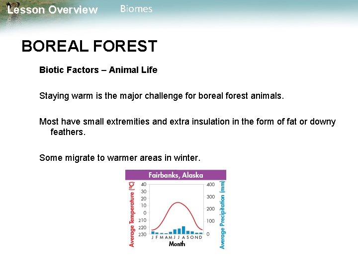 Lesson Overview Biomes BOREAL FOREST Biotic Factors – Animal Life Staying warm is the