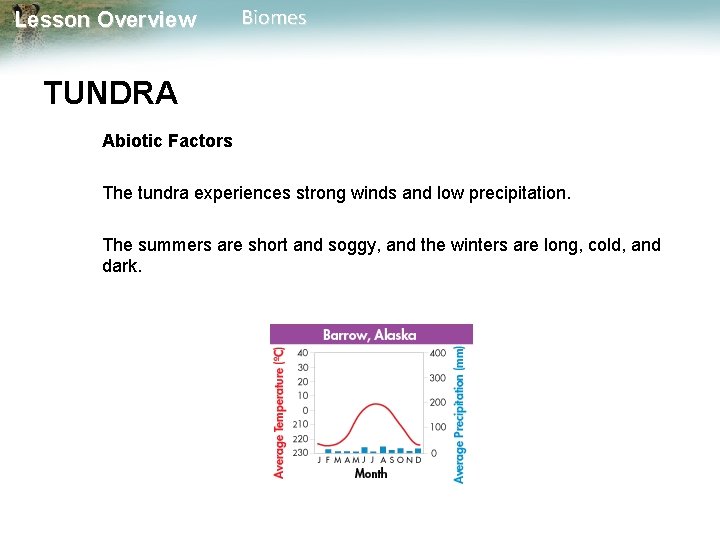 Lesson Overview Biomes TUNDRA Abiotic Factors The tundra experiences strong winds and low precipitation.