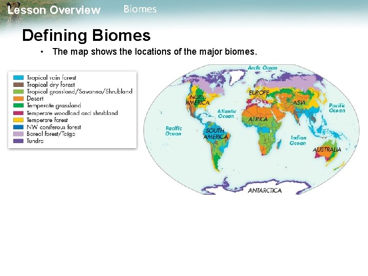 Lesson Overview Biomes Defining Biomes • The map shows the locations of the major