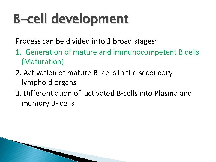 B-cell development Process can be divided into 3 broad stages: 1. Generation of mature