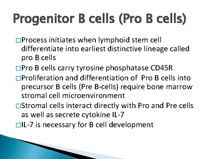 Progenitor B cells (Pro B cells) � Process initiates when lymphoid stem cell differentiate