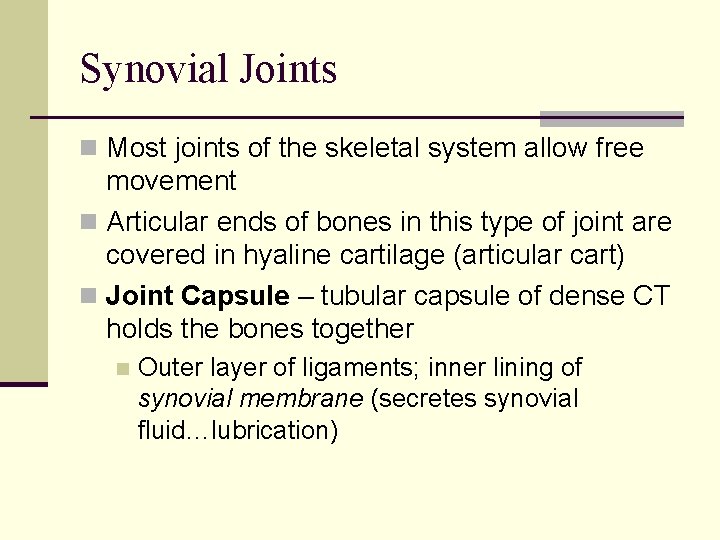 Synovial Joints n Most joints of the skeletal system allow free movement n Articular
