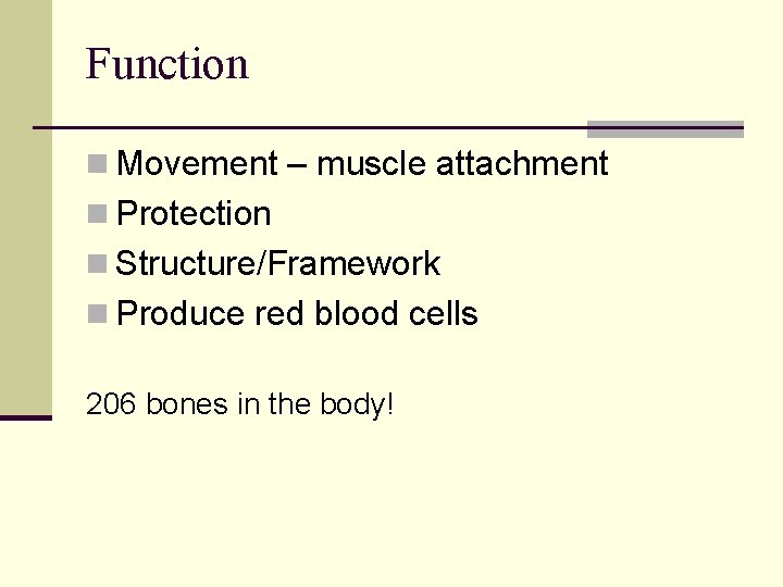 Function n Movement – muscle attachment n Protection n Structure/Framework n Produce red blood
