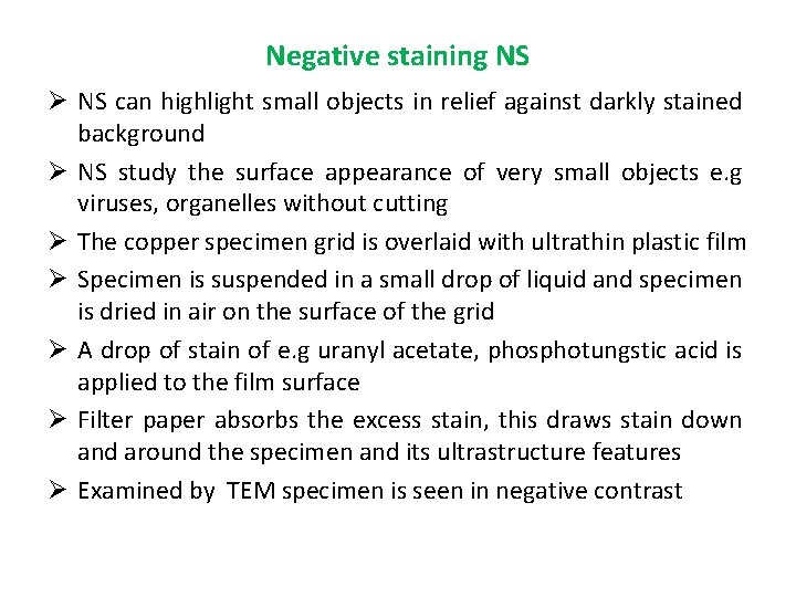 Negative staining NS Ø NS can highlight small objects in relief against darkly stained