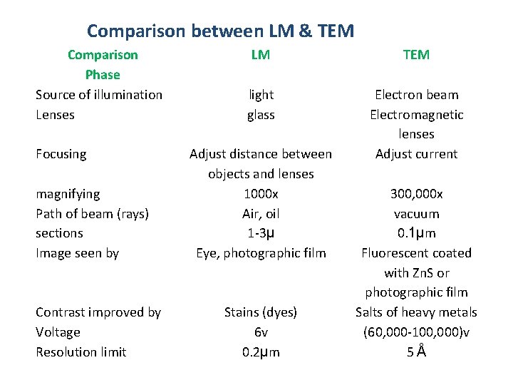 Comparison between LM & TEM Comparison Phase Source of illumination Lenses Focusing magnifying Path