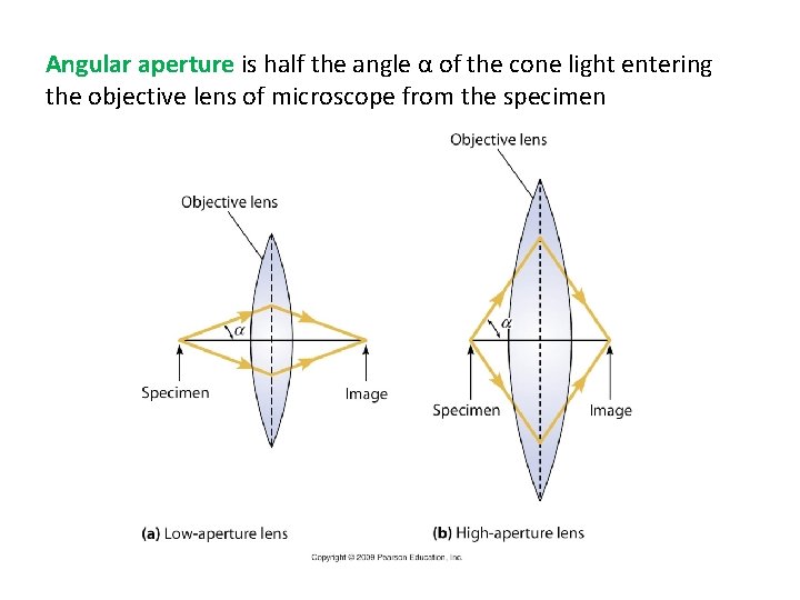 Angular aperture is half the angle α of the cone light entering the objective