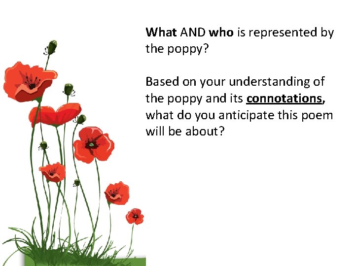 What AND who is represented by the poppy? Based on your understanding of the