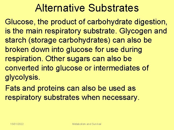 Alternative Substrates Glucose, the product of carbohydrate digestion, is the main respiratory substrate. Glycogen