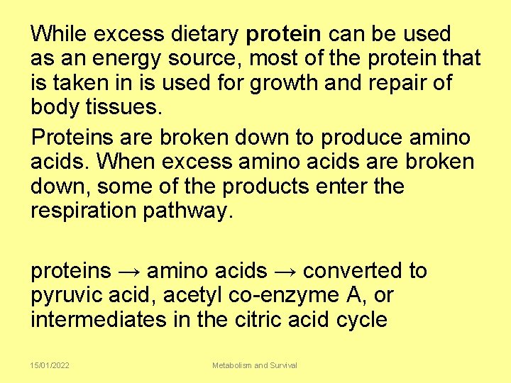 While excess dietary protein can be used as an energy source, most of the