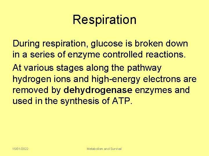 Respiration During respiration, glucose is broken down in a series of enzyme controlled reactions.
