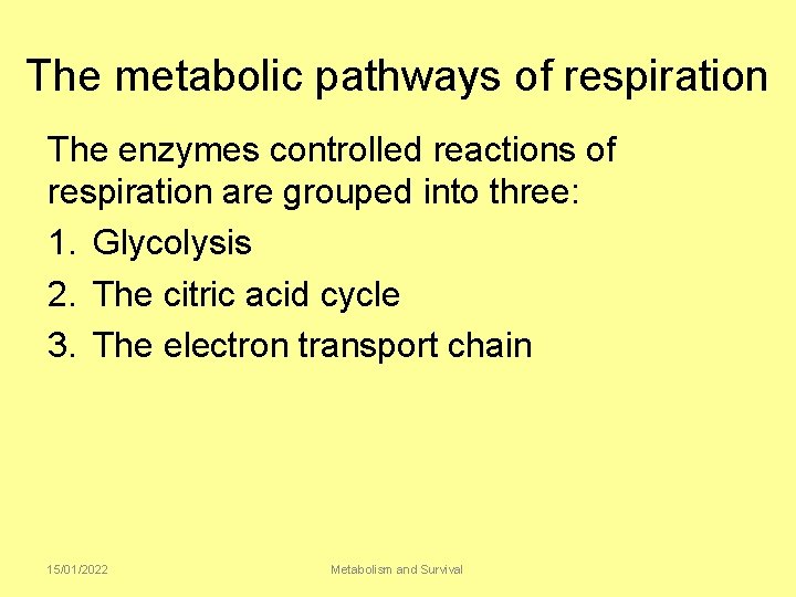 The metabolic pathways of respiration The enzymes controlled reactions of respiration are grouped into