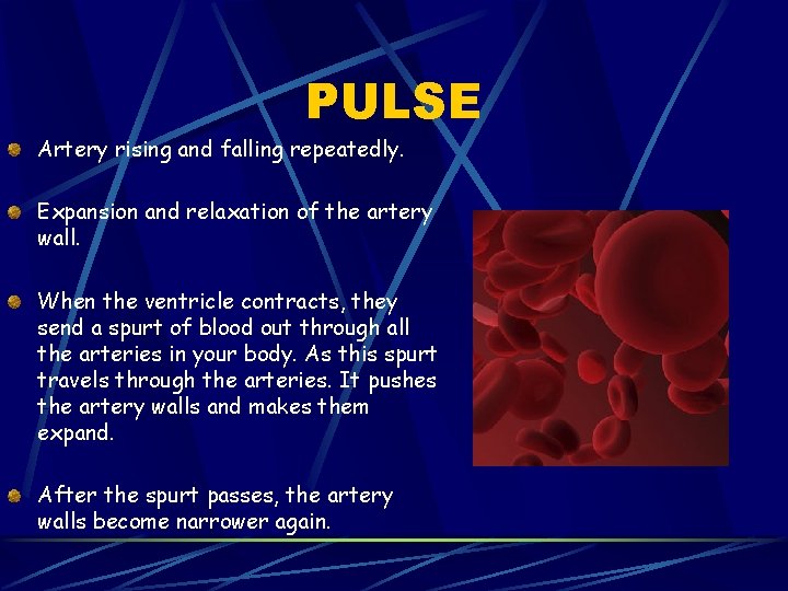 PULSE Artery rising and falling repeatedly. Expansion and relaxation of the artery wall. When