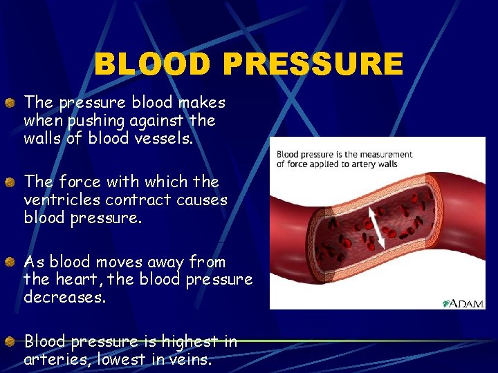 BLOOD PRESSURE The pressure blood makes when pushing against the walls of blood vessels.