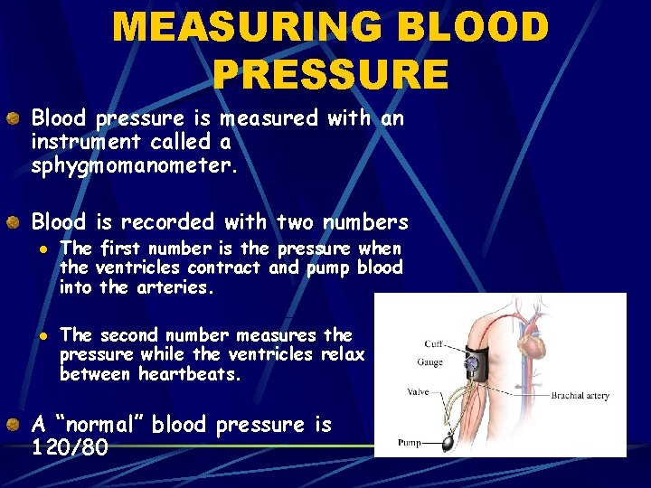 MEASURING BLOOD PRESSURE Blood pressure is measured with an instrument called a sphygmomanometer. Blood