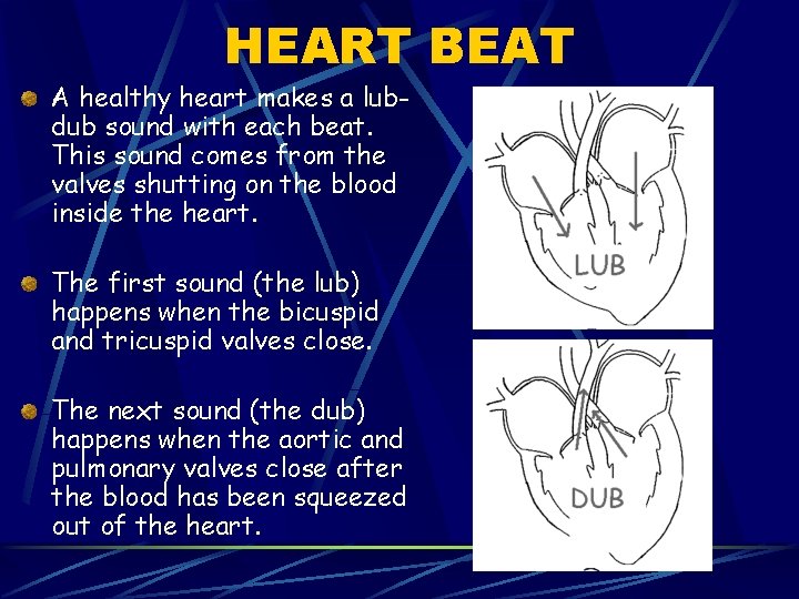 HEART BEAT A healthy heart makes a lubdub sound with each beat. This sound