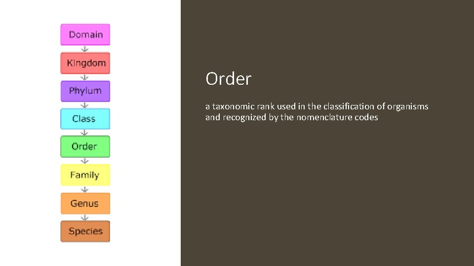 Order a taxonomic rank used in the classification of organisms and recognized by the