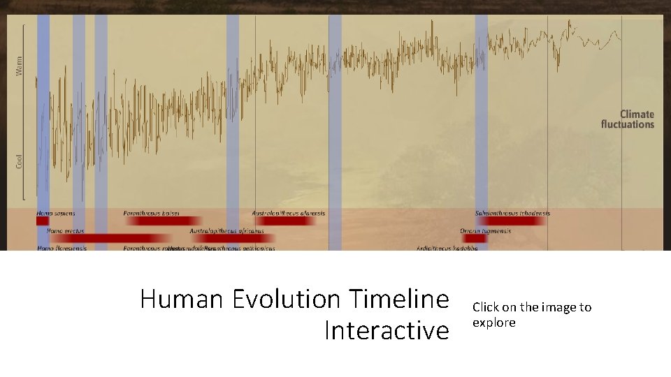 Human Evolution Timeline Interactive Click on the image to explore 