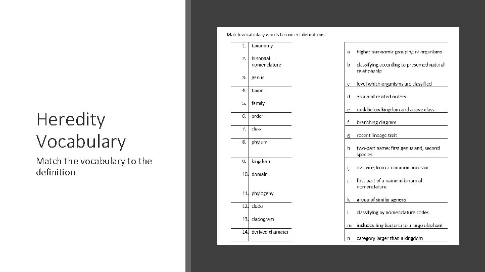 Heredity Vocabulary Match the vocabulary to the definition 