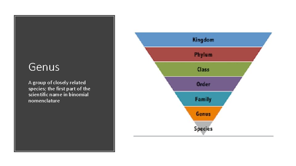 Genus A group of closely related species; the first part of the scientific name