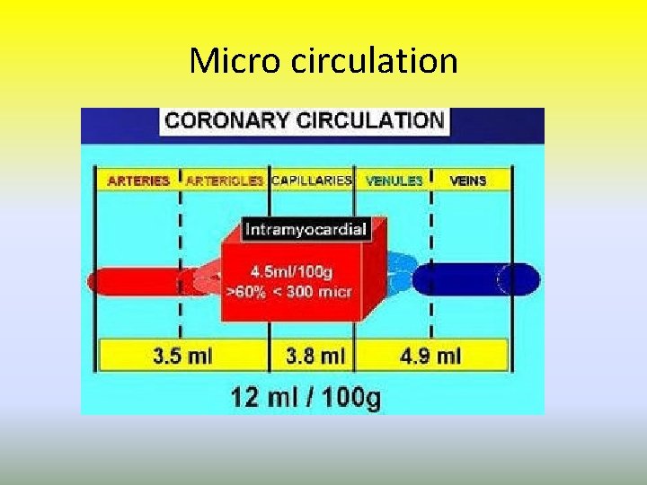 Micro circulation 