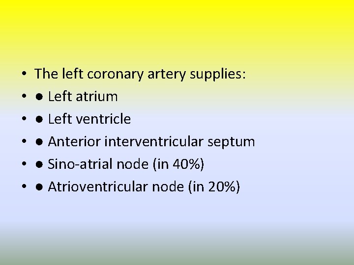  • • • The left coronary artery supplies: ● Left atrium ● Left