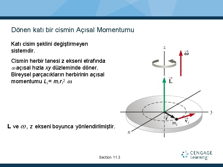 Dönen katı bir cismin Açısal Momentumu Katı cisim şeklini değiştirmeyen sistemdir. Cismin herbir tanesi