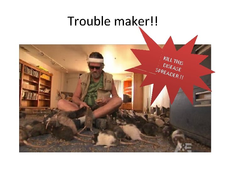 Trouble maker!! KILL TH DISE IS SPRE ASE ADER !! 