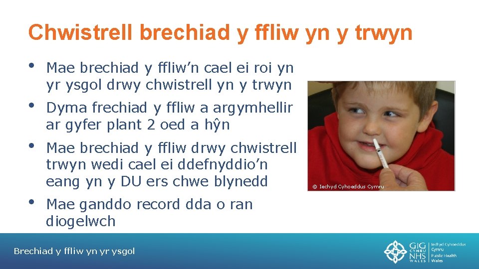 Chwistrell brechiad y ffliw yn y trwyn • Mae brechiad y ffliw’n cael ei