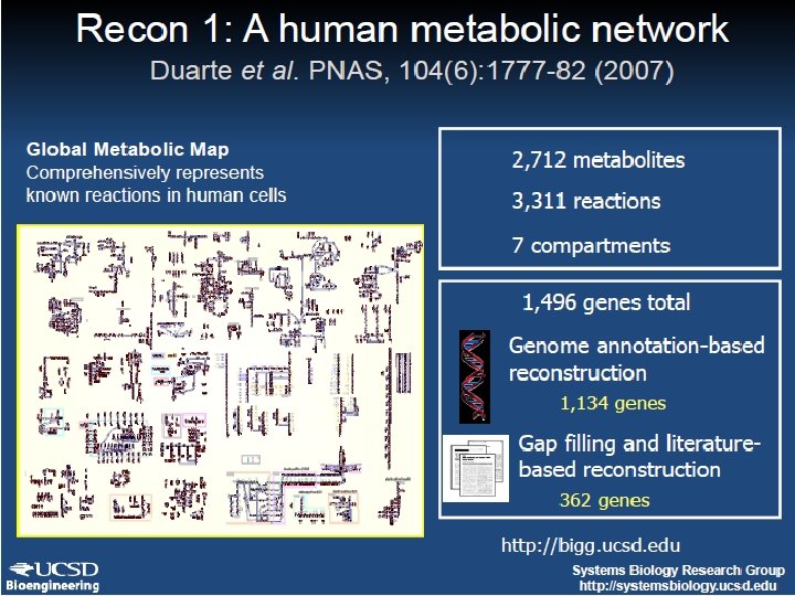 Biological Network Analysis Human Metabolic Network Tomer Shlomi