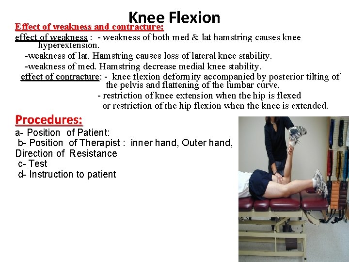 Knee Flexion Effect of weakness and contracture: effect of weakness : - weakness of