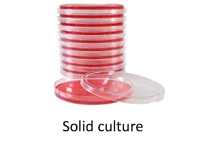 Solid culture 