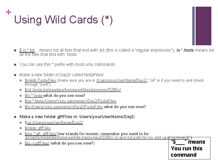 + Using Wild Cards (*) n $ ls *. txt means list all files