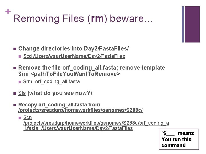 + Removing Files (rm) beware… n Change directories into Day 2/Fasta. Files/ n n