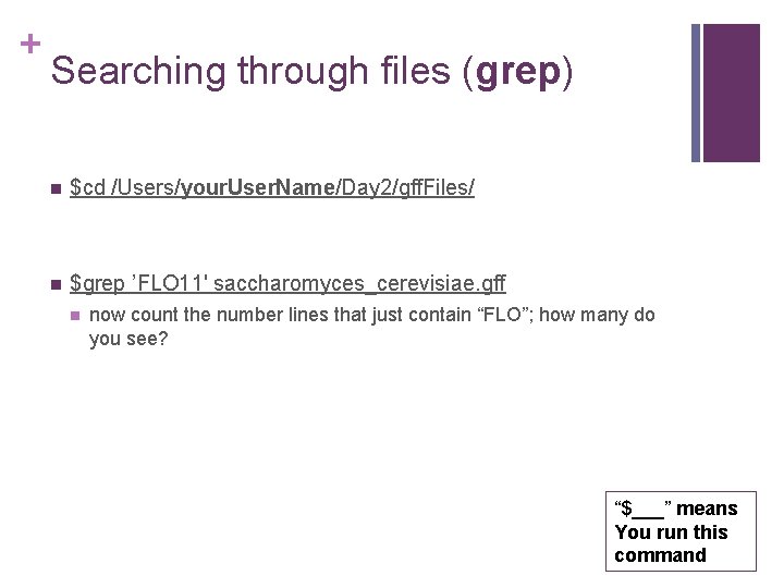 + Searching through files (grep) n $cd /Users/your. User. Name/Day 2/gff. Files/ n $grep