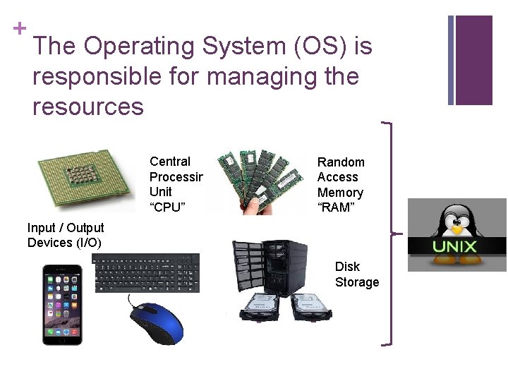 + The Operating System (OS) is responsible for managing the resources Central Processing Unit