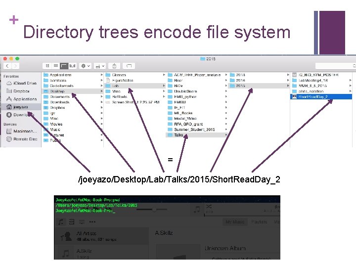 + Directory trees encode file system = /joeyazo/Desktop/Lab/Talks/2015/Short. Read. Day_2 