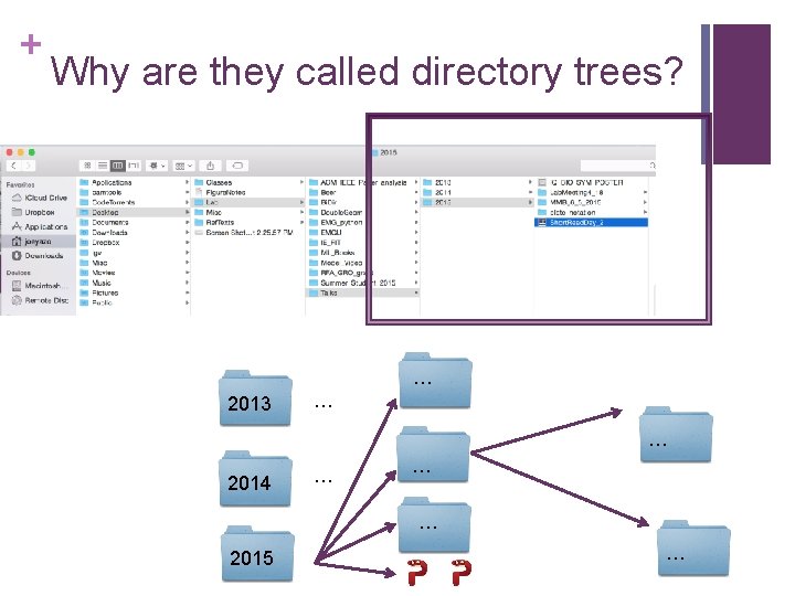 + Why are they called directory trees? … 2013 … … 2014 … …