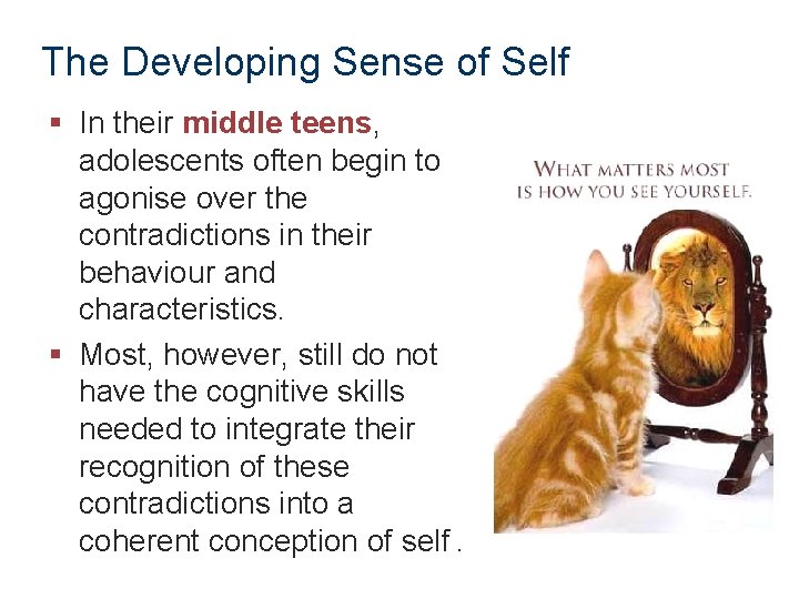 The Developing Sense of Self § In their middle teens, adolescents often begin to