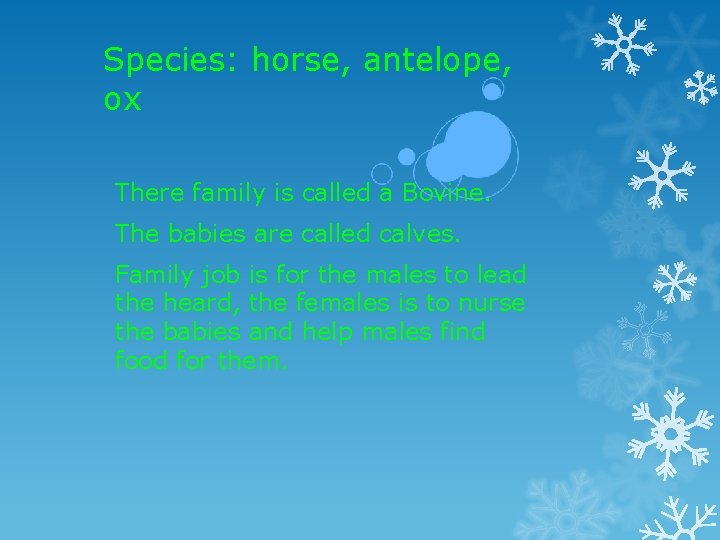 Species: horse, antelope, ox There family is called a Bovine. The babies are called